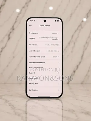 Xiaomi 17 512 GB Black