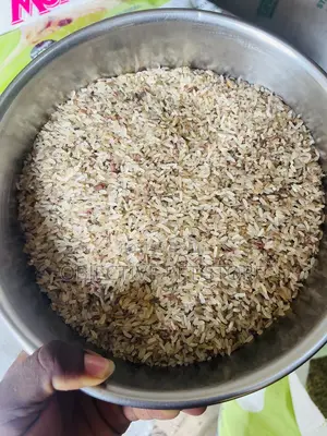 Dog Brown Rice