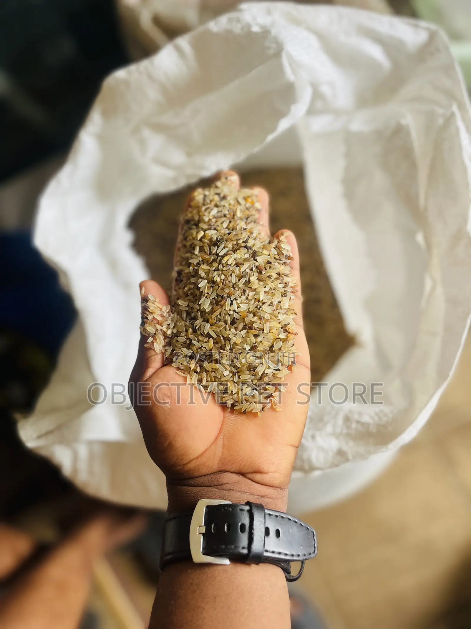 Dog Brown Rice