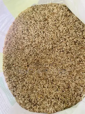 Dog Brown Rice