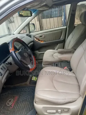 Lexus RX 2002 Gray