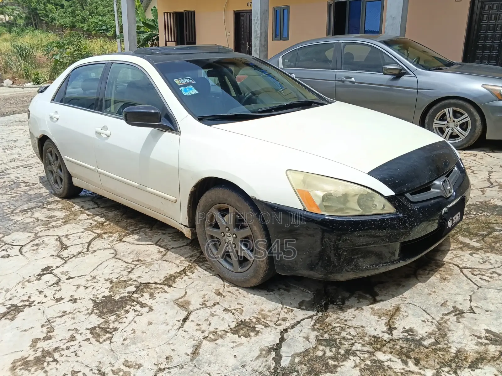 Honda Accord 2004 White