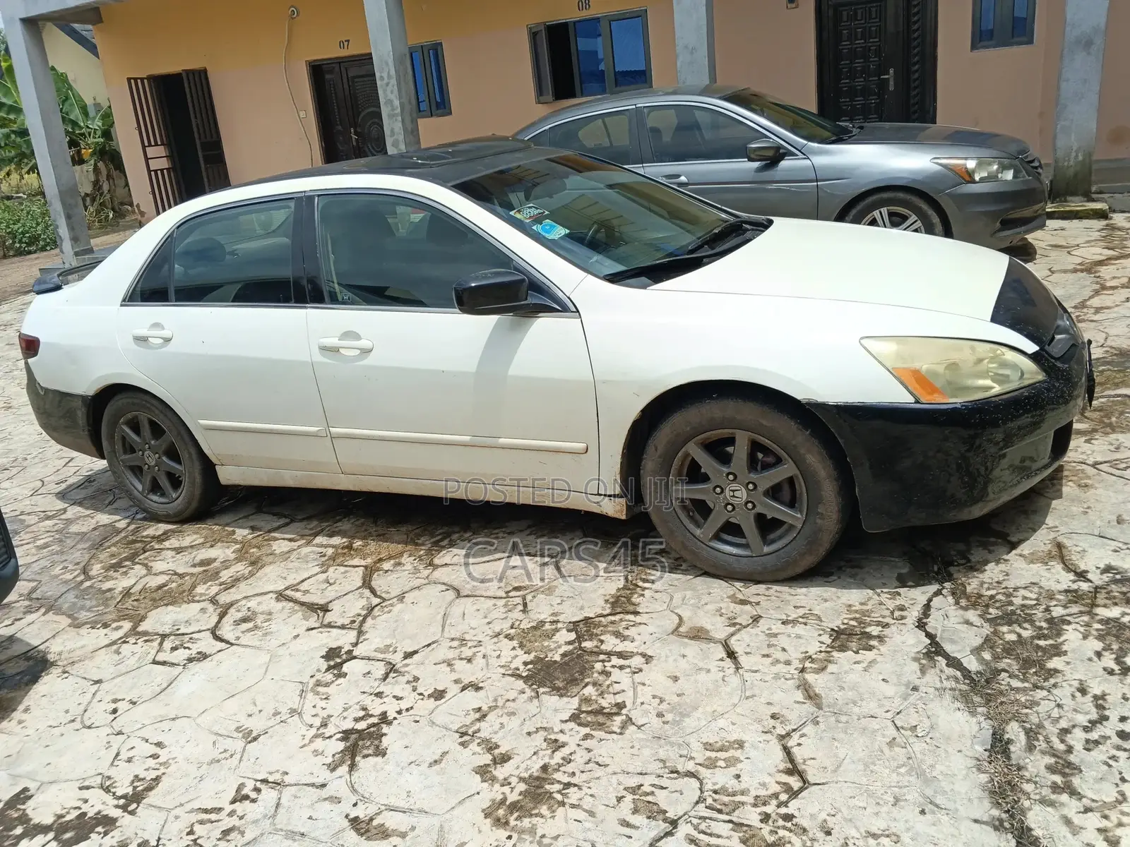 Honda Accord 2004 White
