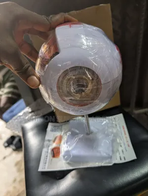 Eyeball Model