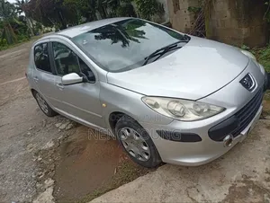 Peugeot 307 2007 Silver