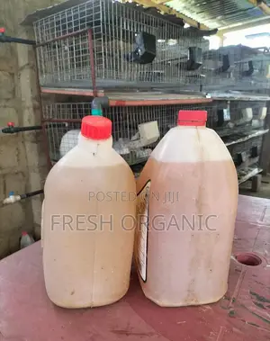 Rabbit Urine for Organic Fertilizer and Organic Pest Repellent,l