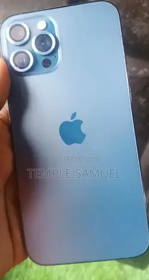 Apple iPhone 12 Pro Max 128 GB Gray