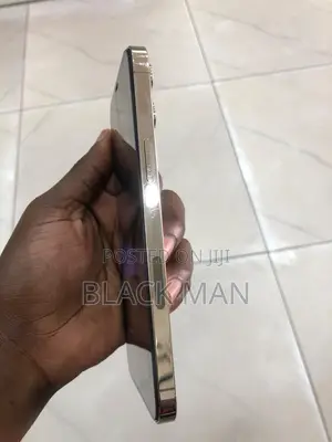 Apple iPhone 12 Pro Max 256 GB Gold