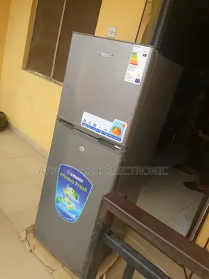 Snowsea Bcd198 150 Litre Low Power Consumption Refrigerator
