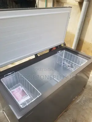 Hisense Heavy Capacity Food Freezer
