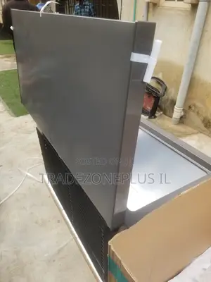 Hisense Heavy Capacity Food Freezer