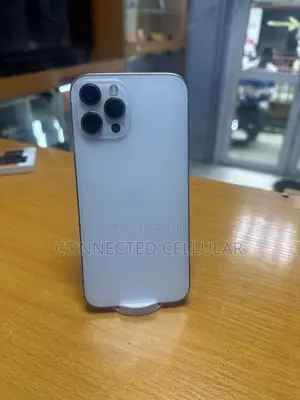 Apple iPhone 12 Pro Max 256 GB Silver