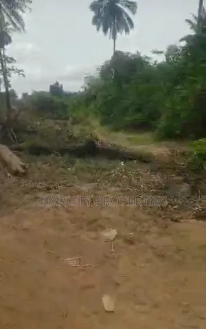 Acres of Land in Sagamu at the Back of OSUTH Along Ayepe Road Ogun St
