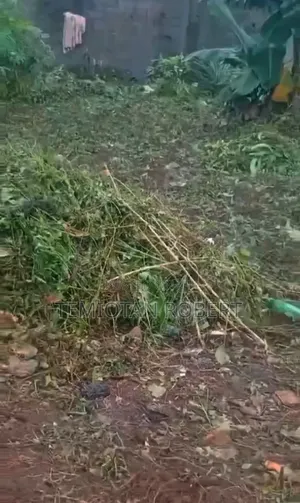Uncompleted Mini Flat on Half Plot of Land Beside Canaan Land