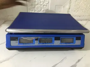 Electronic Price Computing Weighing Scale 40kg