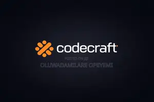 Software Developer