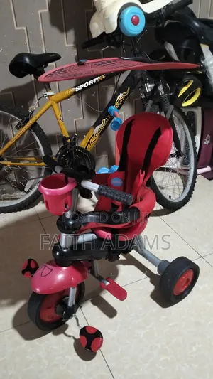 Smart Trike 4-in-1 Tricycle