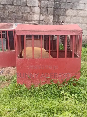 Clear Dog Cage for Sale