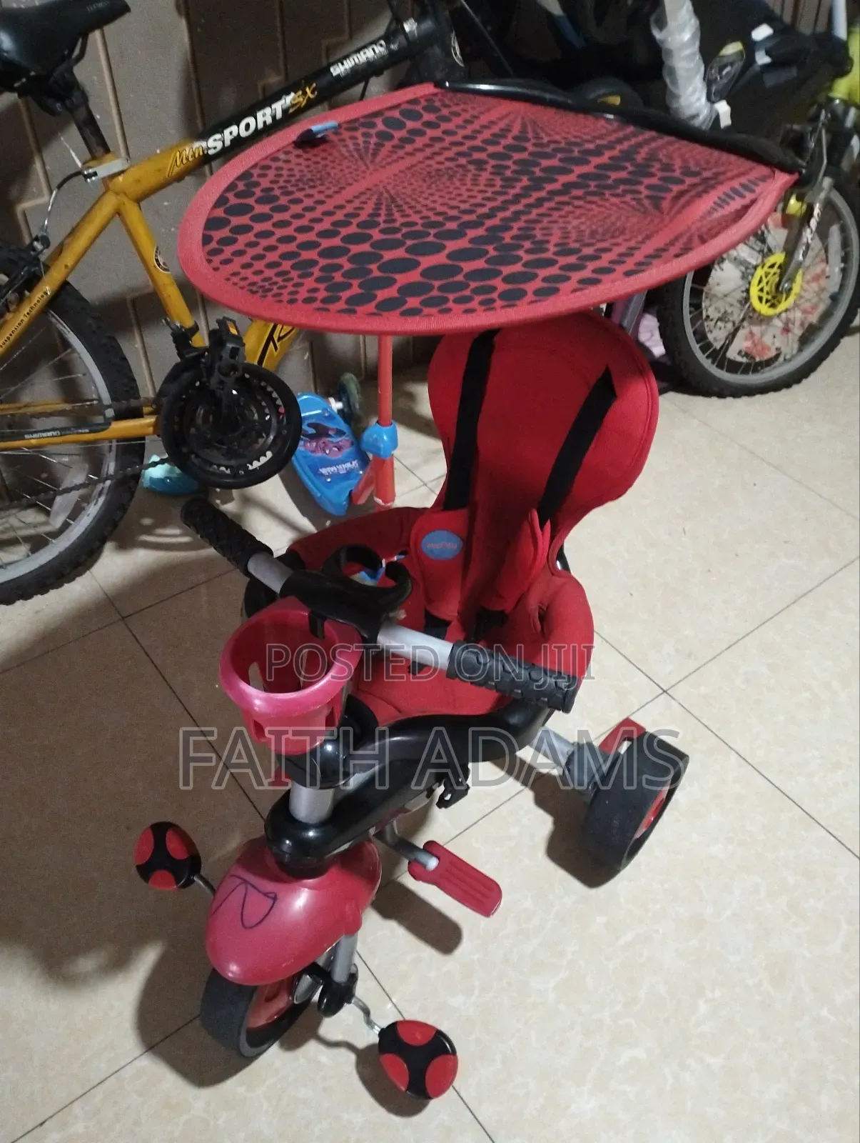 Smart Trike 4-in-1 Tricycle