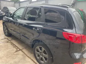 Hyundai Santa Fe 2009 Blue