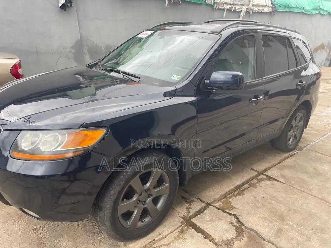 Hyundai Santa Fe 2009 Blue