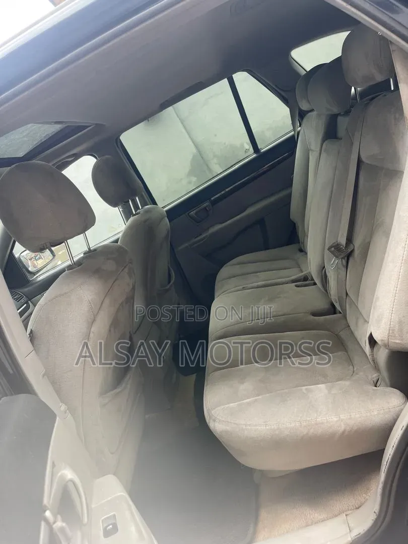 Hyundai Santa Fe 2009 Blue