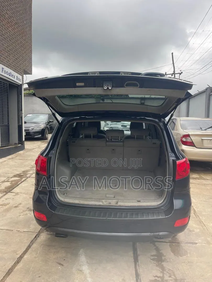 Hyundai Santa Fe 2009 Blue