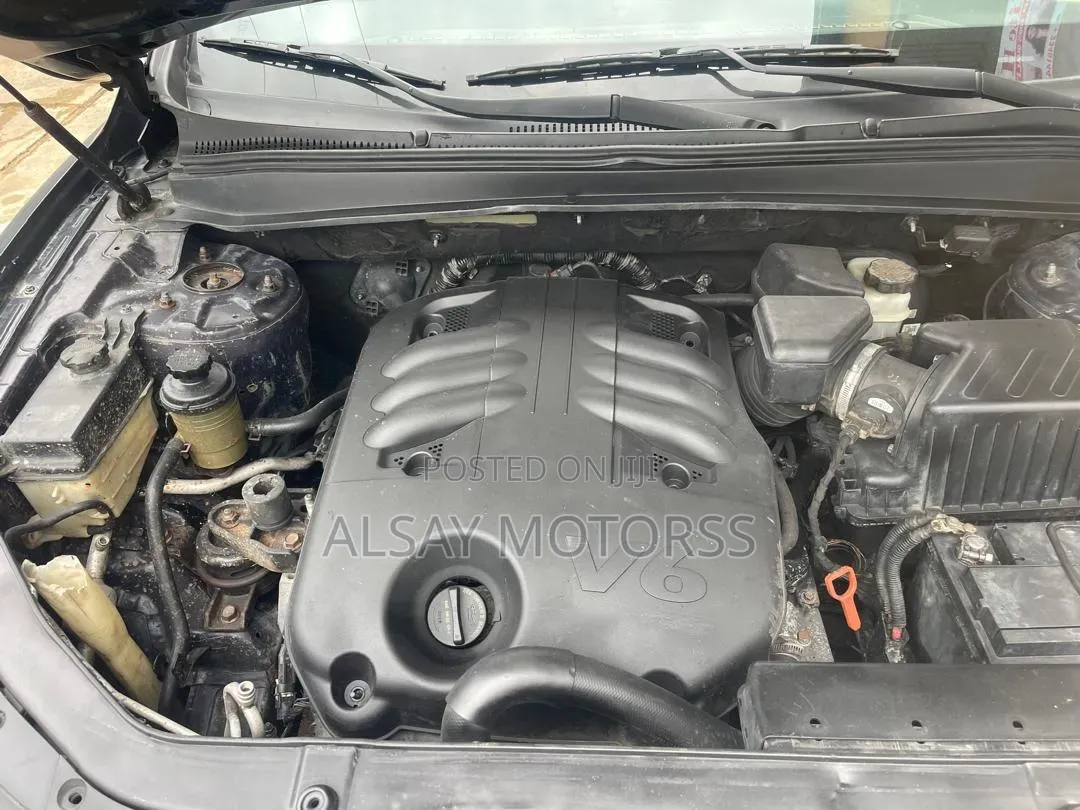 Hyundai Santa Fe 2009 Blue