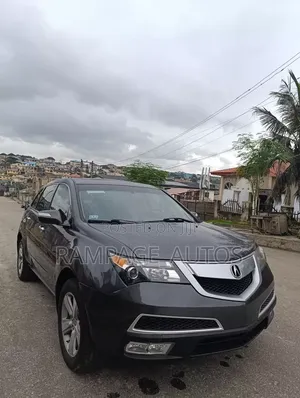 Acura MDX 2010 Gray