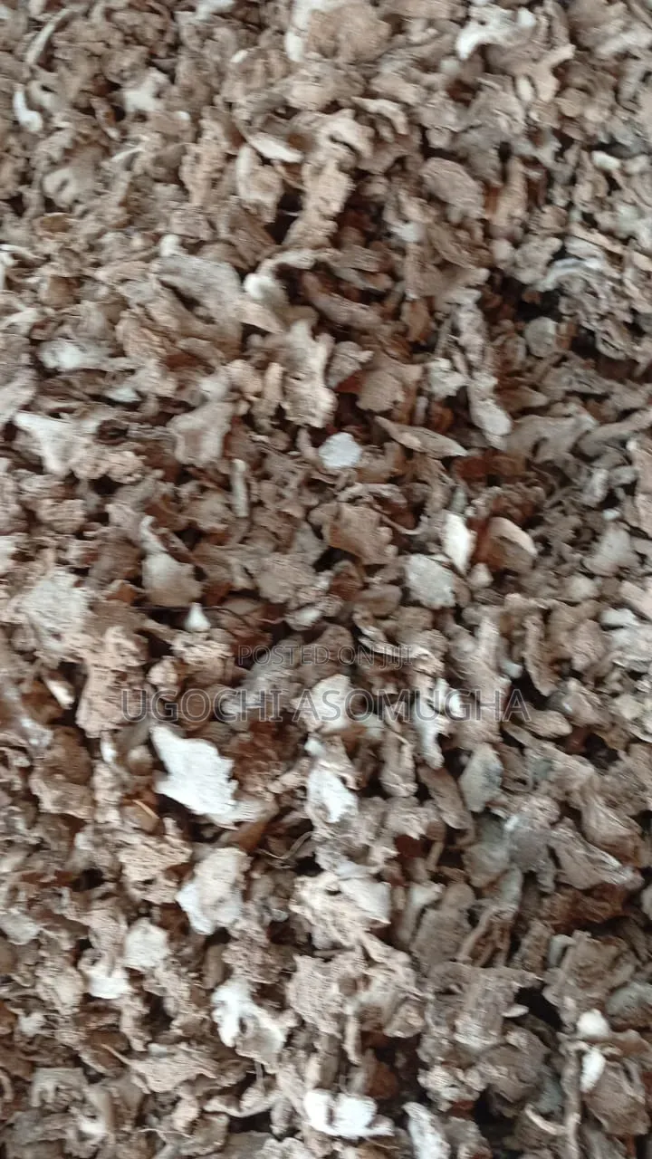 Ginger in Bags