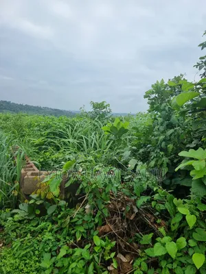 Complete (5) Five Hectares of Land for Sale in Ogun State