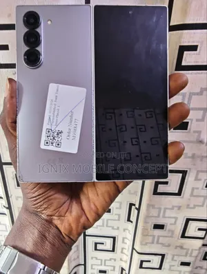 Samsung Galaxy Z Fold6 256 GB Gray