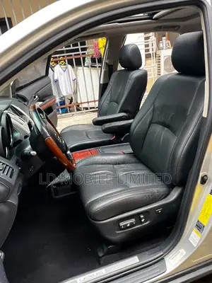 Lexus RX 350 XE 4x4 2009 Silver