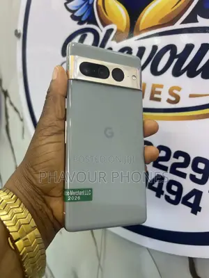 Google Pixel 7 Pro 256 GB Gray