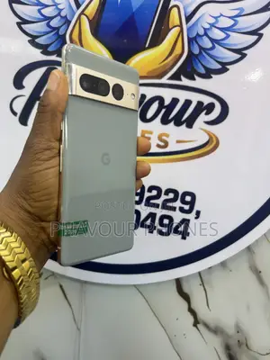 Google Pixel 7 Pro 256 GB Gray