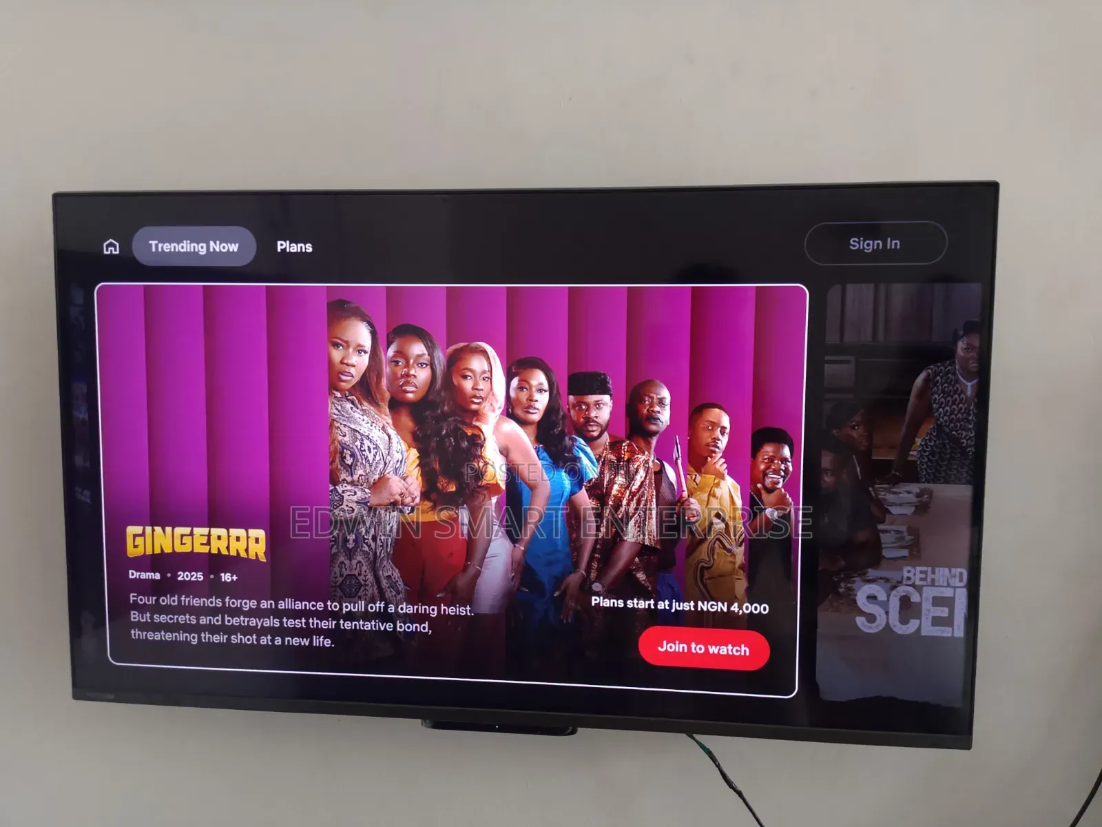 Toshiba Smart Fire Television