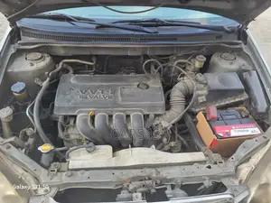 Toyota Corolla 2004 Green