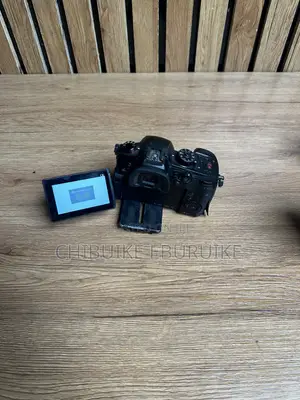 Lumix GH5s Camera