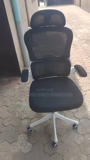 Ergonomic Chair
