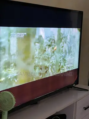 LG 55inch TV