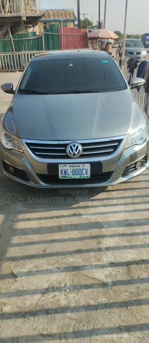 Volkswagen Passat 2010 Gray