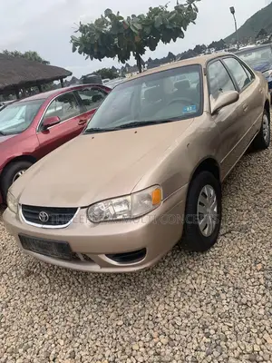 Toyota Corolla 2001 Gray