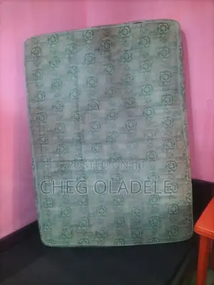 Bed Frame and Mattress