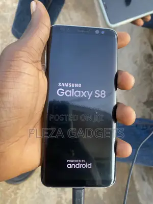 Samsung Galaxy S8 64 GB Gray