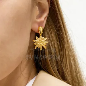 Ladies Earrings Jewelry Accessories Women Earrings