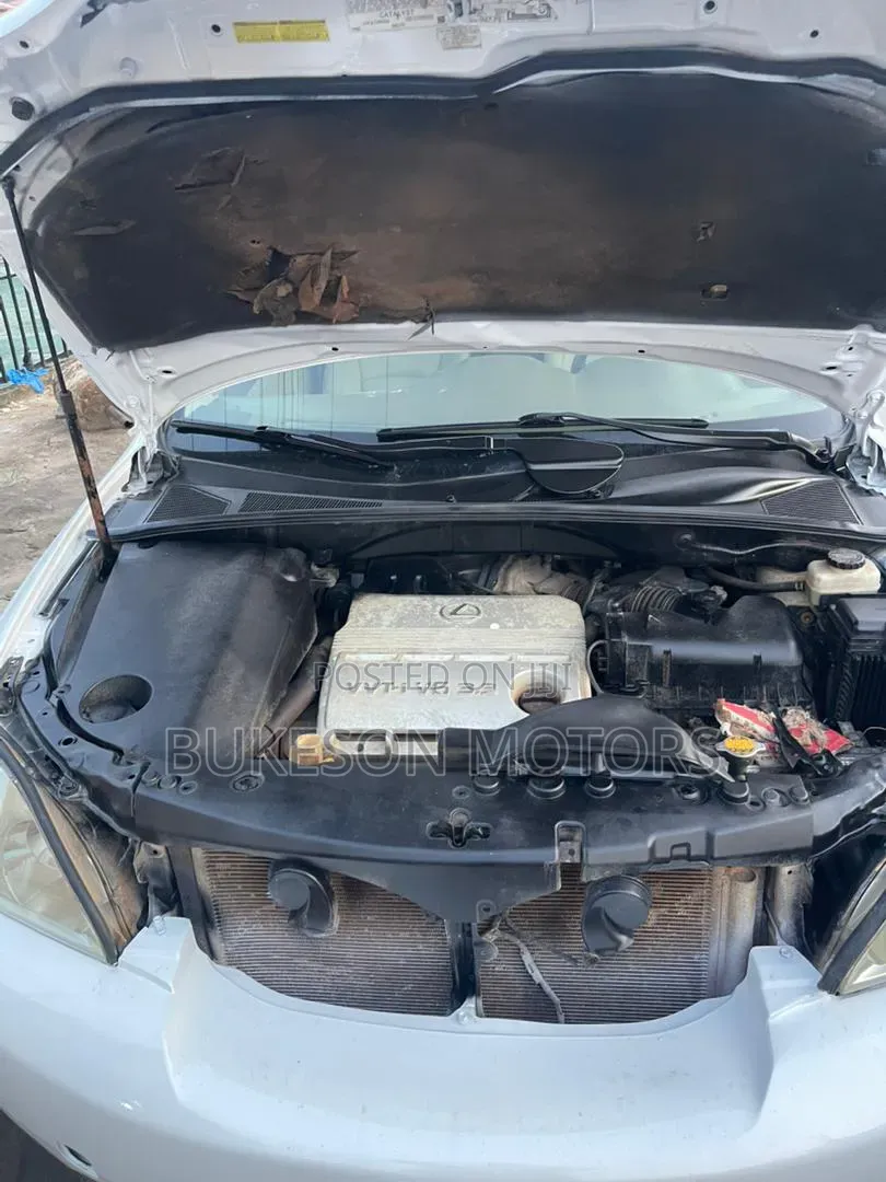 Lexus RX 2005 White