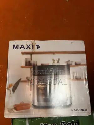 High Quality Maxi Air Fryer
