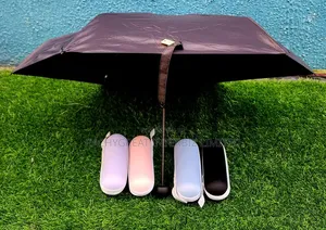 Portable Folding Windproof Umbrella With Storage Case