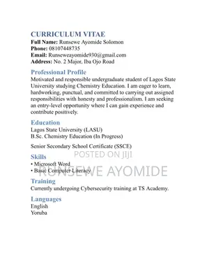 Advertising Marketing CV