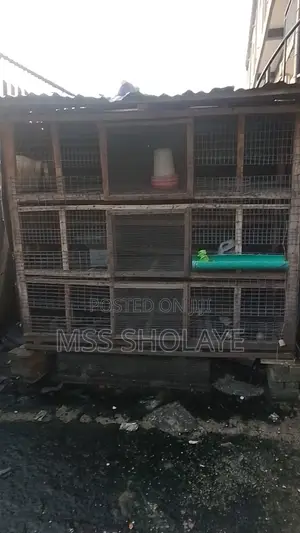 Chiken Cage